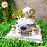 DIY Dreamy Sky Themed Cake Base B