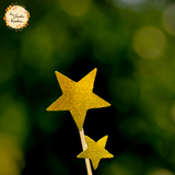 Star Glittered Set Paper Insert