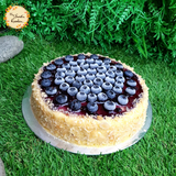 Blueberry Cheesecake with Fresh Blueberries