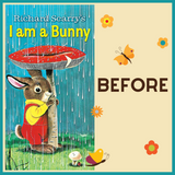 Round Edible Icing Sheet