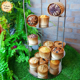 Assorted Petit Muffin