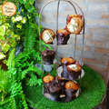 Assorted Molten Lava Muffin