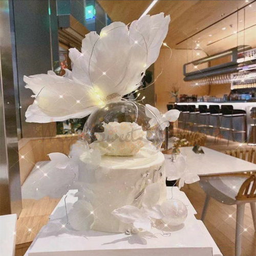 Butterfly Dome Cake Deco Set