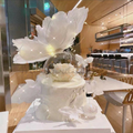 Butterfly Dome Cake Deco Set