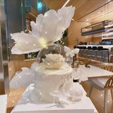 Butterfly Dome Cake Deco Set