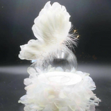 Butterfly Dome Cake Deco Set