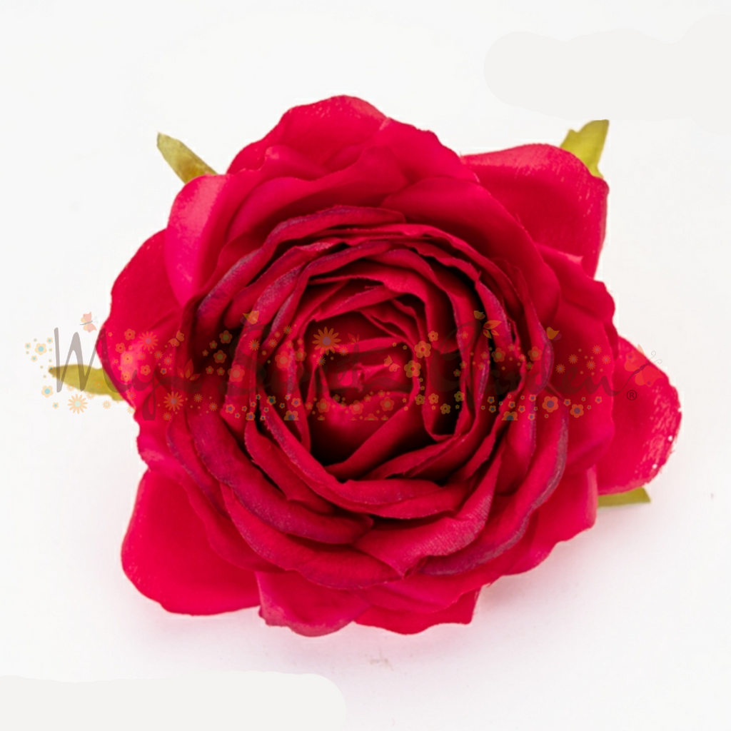 Singular Rose