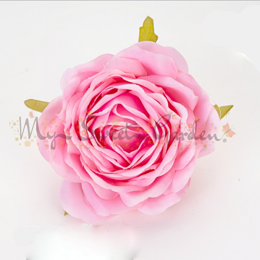 Singular Rose