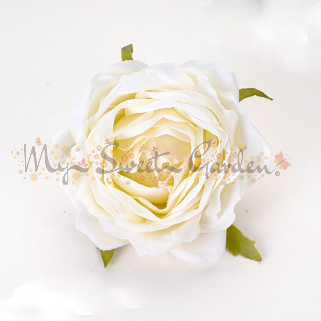 Singular Rose