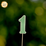 Succulent Cactus Happy Birthday Set Paper Insert