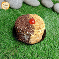 Yuan Yang Coffee Sponge Cake with Chocolate Sprinkles & Peanuts