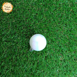 Decorative Plastic Ball with Hook Ornament