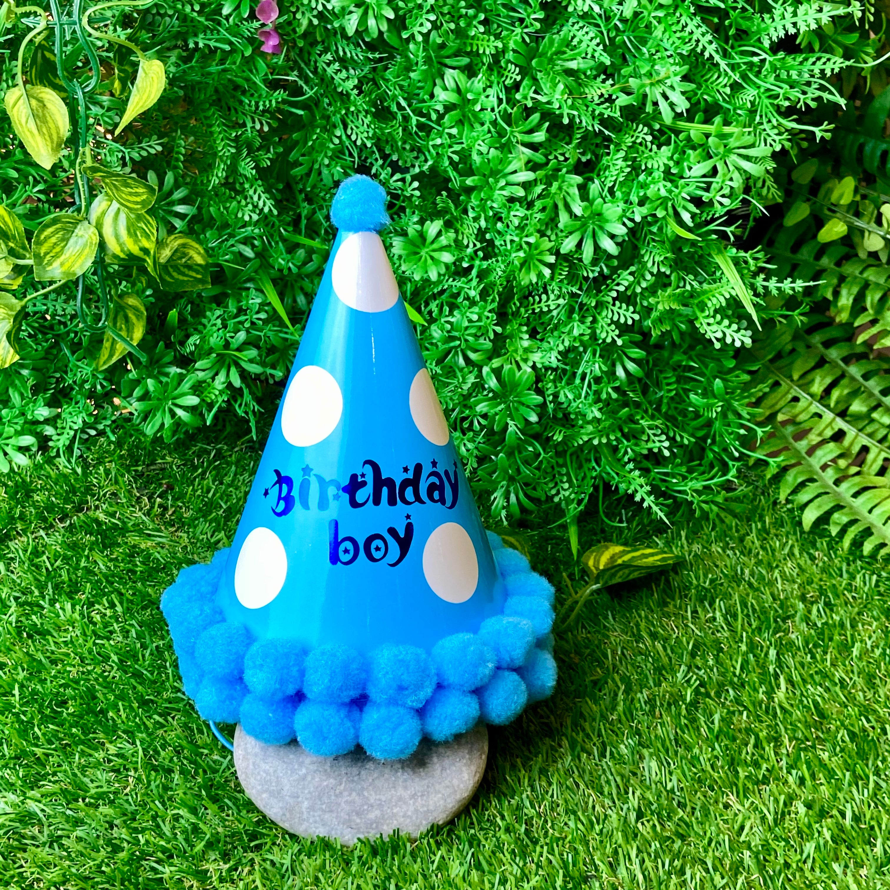 Polka Dot Party Hat