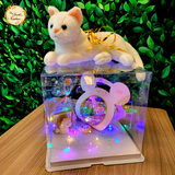DIY Plush Cat and Edible Chocolate Gift Box