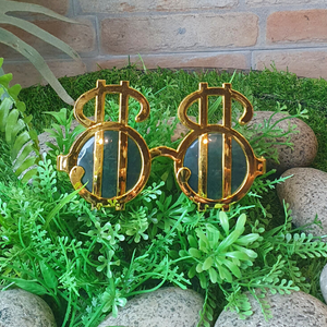 Dollar Sign Glasses