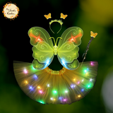 Butterfly Fairy Costume