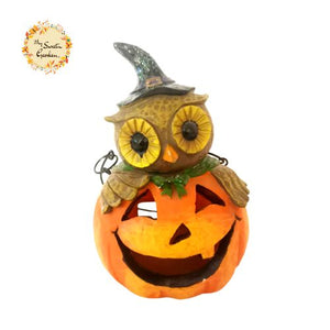 Halloween Limited Edition Owl Pumpkin Hangable Party Decoration