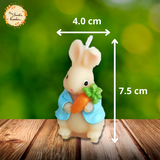 Bunny with a Carrot Themed Candle