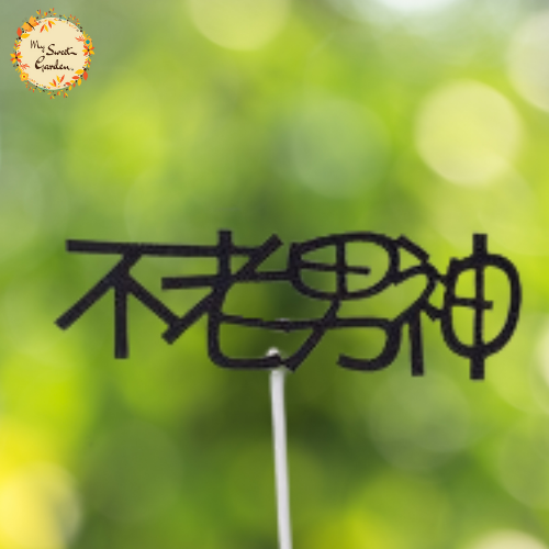 Male Idol Forever Young in Chinese 不老男神 Paper Insert