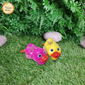 LED Gliding Duck Toy