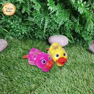 LED Gliding Duck Toy