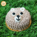 Fluffy Bear Artistic Cake
