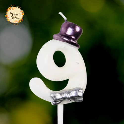 Hat Numbered Candle