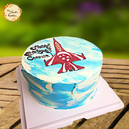 Korean Jet Plane Illustrated Cake