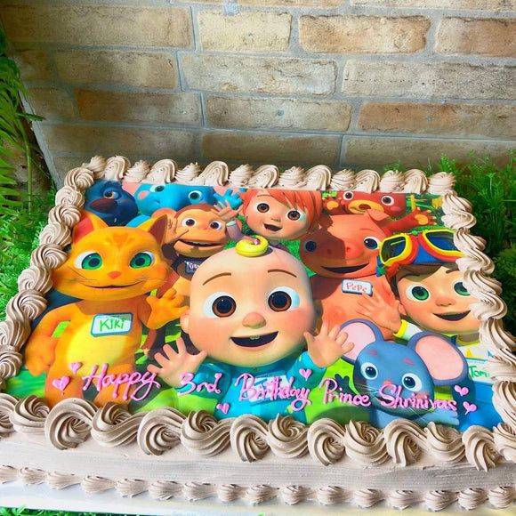 Rectangle Shape  + Large Shell Border