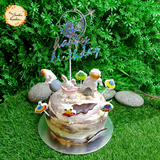 DIY Dreamy Sky Themed Cake Base B